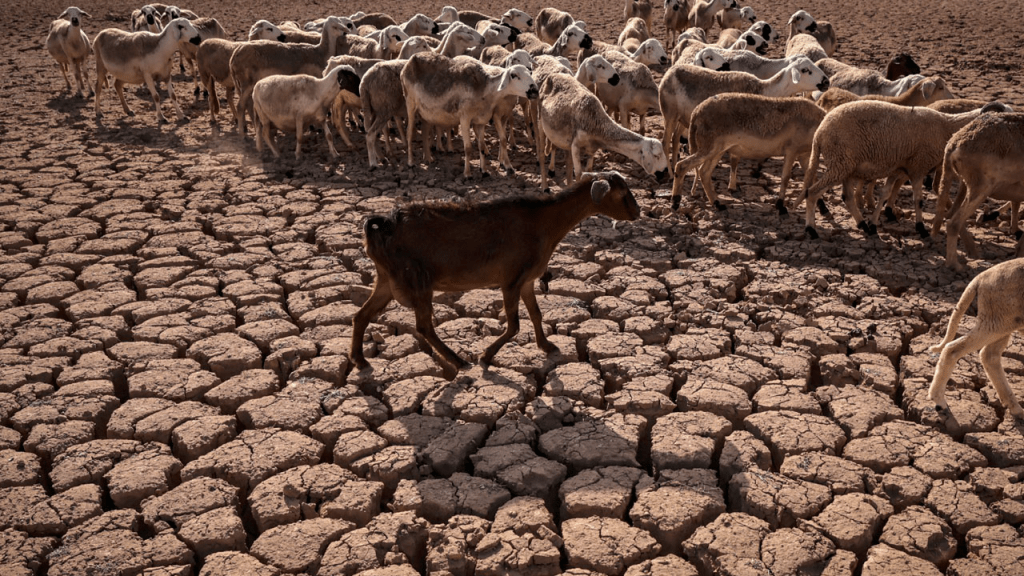 Climate Change: Challenge for Developing African&nbsp;Nations