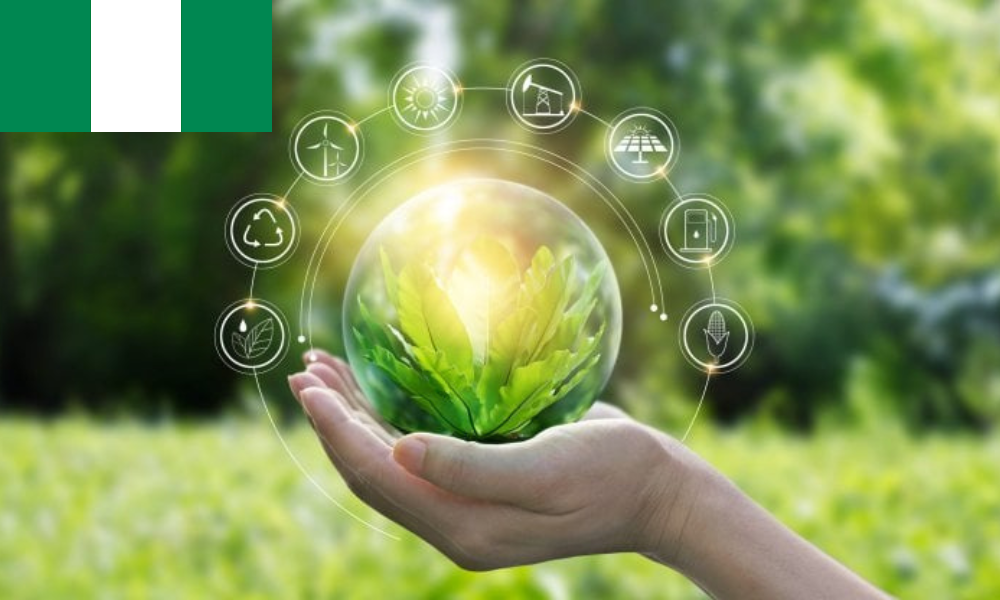 Transition to a Green Economy: Nigeria’s Opportunities and&nbsp;Challenges