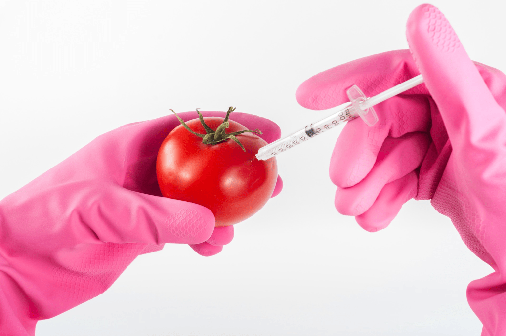 GMOs on Your Plate: Myths and Facts